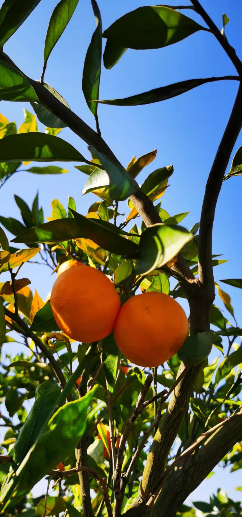 CsW_woQUu39SYd4mRa8sJBvupTeU3jWqibLbVUu05TR7fy4UCQE5ocreUaehUQ-n