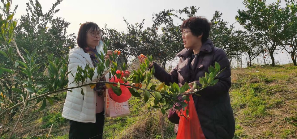 gUIZy2SsZFMxQg4K_CJACVsmkUPTnFngs1U6G_RfiObmByF9llO75G5TtKU2B2tc