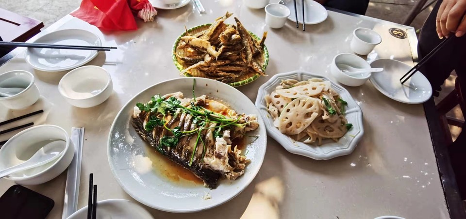 gUIZy2SsZFMxQg4K_CJACdGIIzPP4Tv6jCHGOlczVRoZW47JF97O_X_n6uvOMCpT