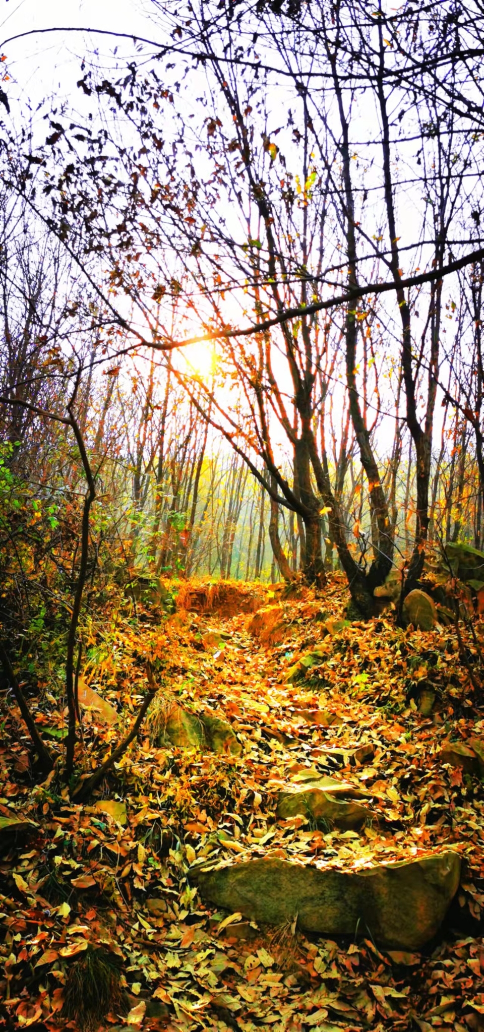 gUIZy2SsZFMxQg4K_CJACbjt7Sld_DI8rYk7NvGqbyC_qx9wvH9R58smoGSLg6Ui