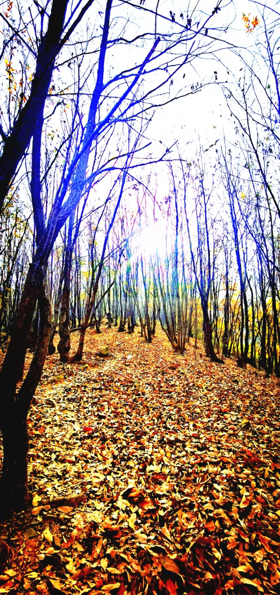 gUIZy2SsZFMxQg4K_CJACfHIkkP0Y6NpPZbp6bHvgVg1GKxG5KkWZnlhwEq8250M