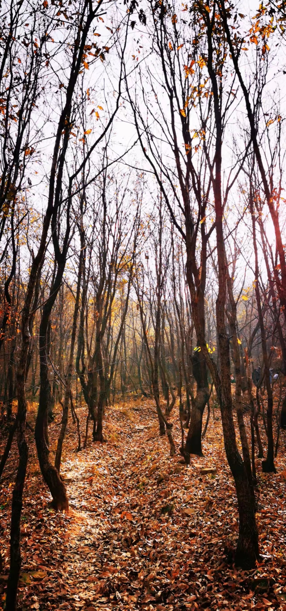 gUIZy2SsZFMxQg4K_CJACYtI52kGGvpBjedlgFn_s9y2tp-0cWXbwuezlE807_w1