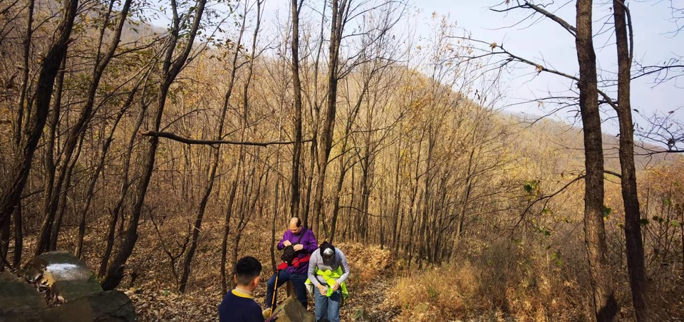 gUIZy2SsZFMxQg4K_CJACQ4mK18V77TiFmddpGAARWHmxp5lUluEZxH7r2MksFSb