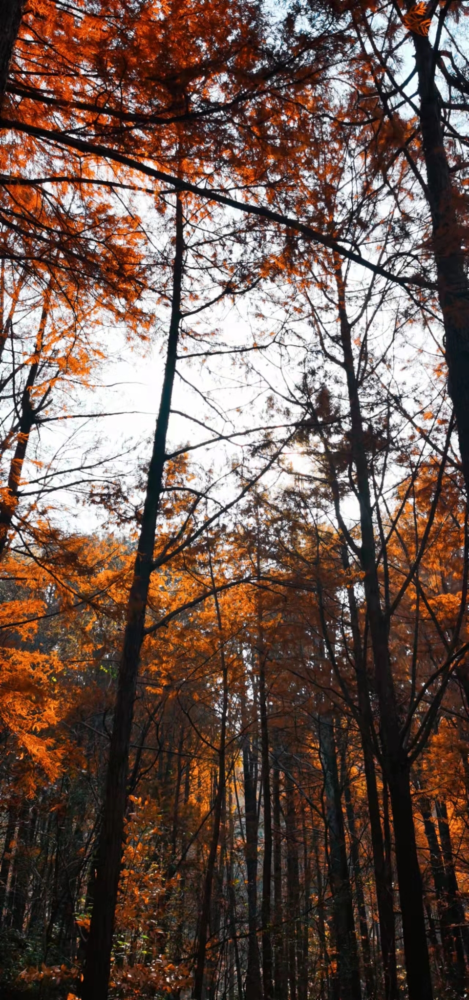 4mdEfgw8PykaYCQ7r2avMpwBy07jvpbGg95VcxrGxtiv9cg4nhxv6HsKZk8-vtS9