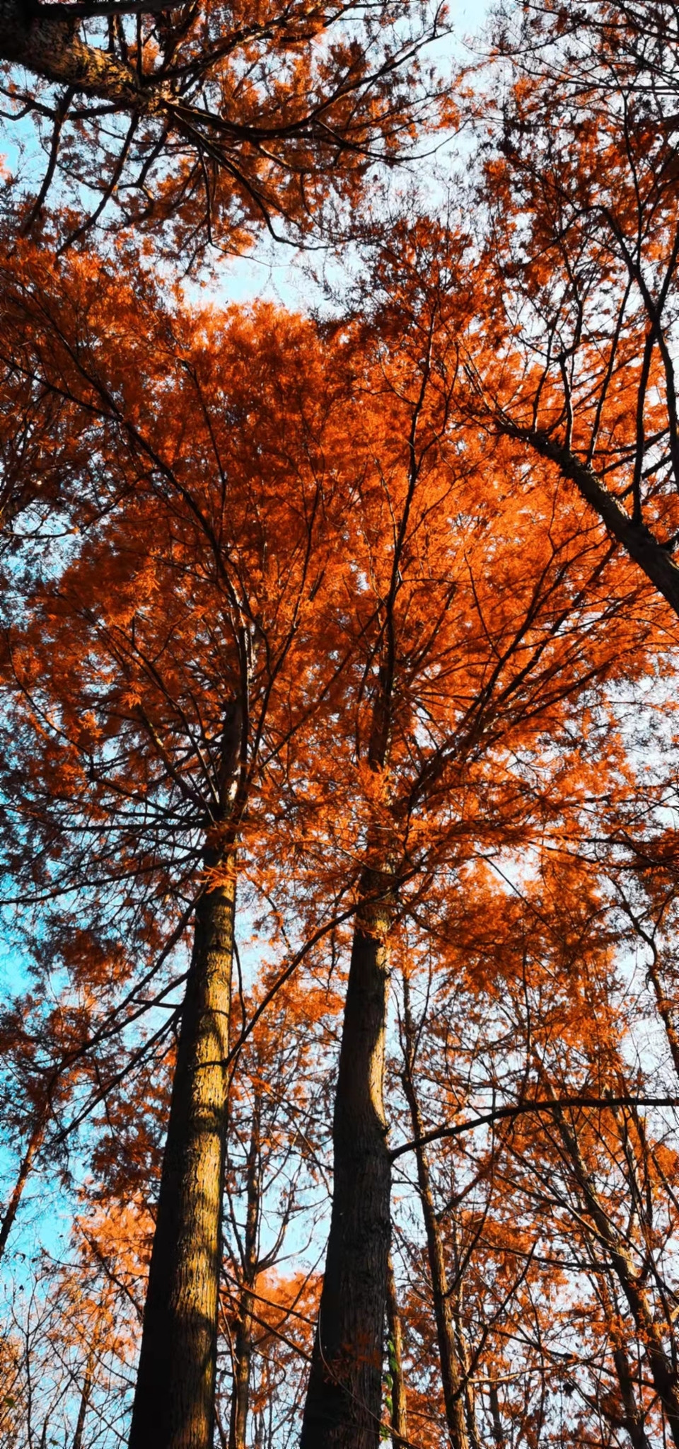 4mdEfgw8PykaYCQ7r2avMvja95S6LgPsBxpV31-hL8vPOzvUPdY918rIC4xP4R0h