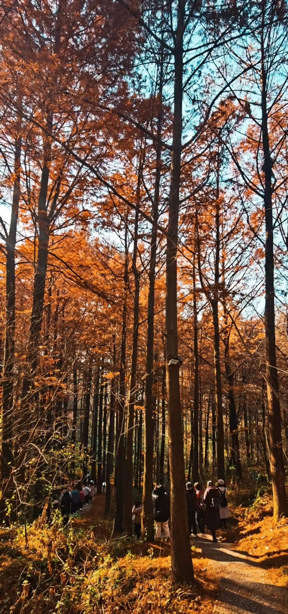 4mdEfgw8PykaYCQ7r2avMnNOVNZXscGmO-NBPAIGv0CvRl7pRcsi_EK1RJ3a1P5D