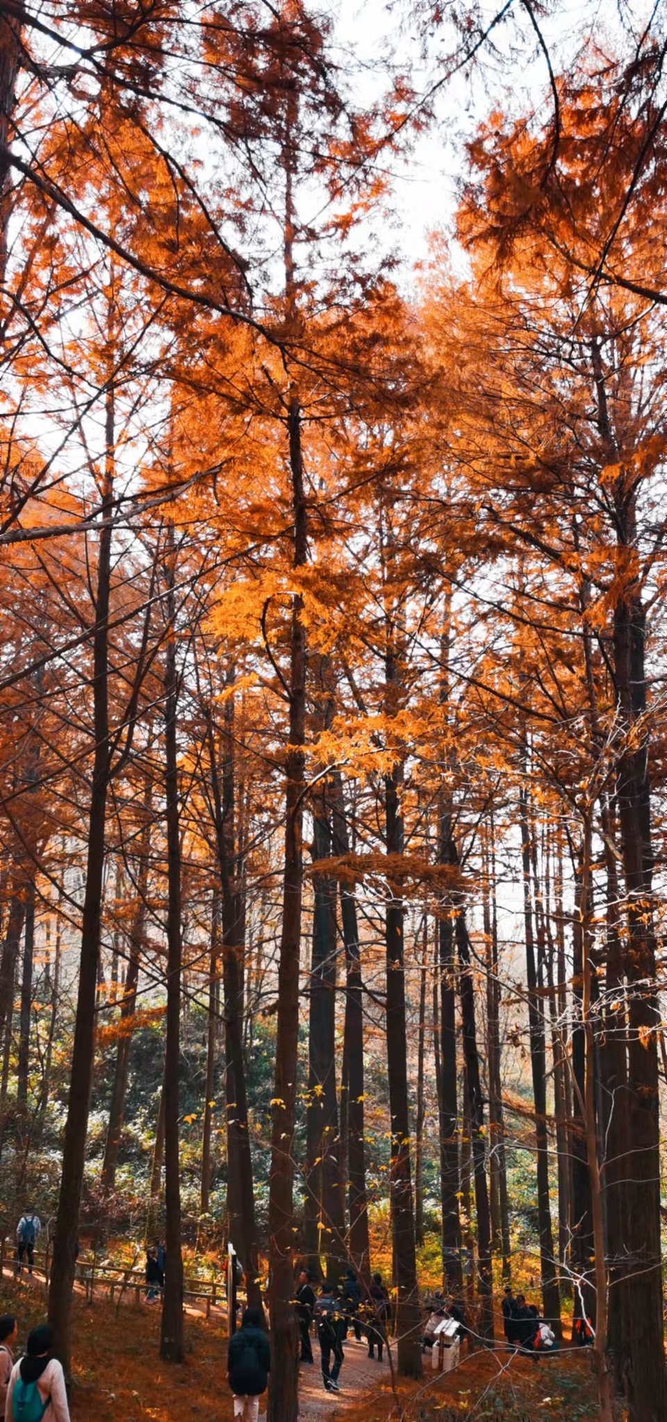 4mdEfgw8PykaYCQ7r2avMruMxuSPNqp0PugEMZW7-qFIYNQCHBEUgpNcN0bARbv2