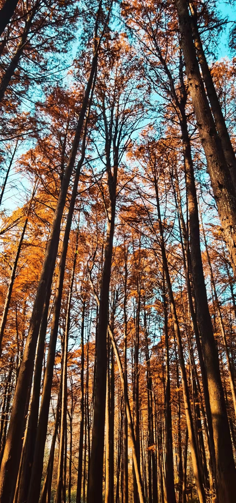 4mdEfgw8PykaYCQ7r2avMj3iaMtAW4wOBcIHJLQhqks69sWo8jDjAbo78zxQ46LI