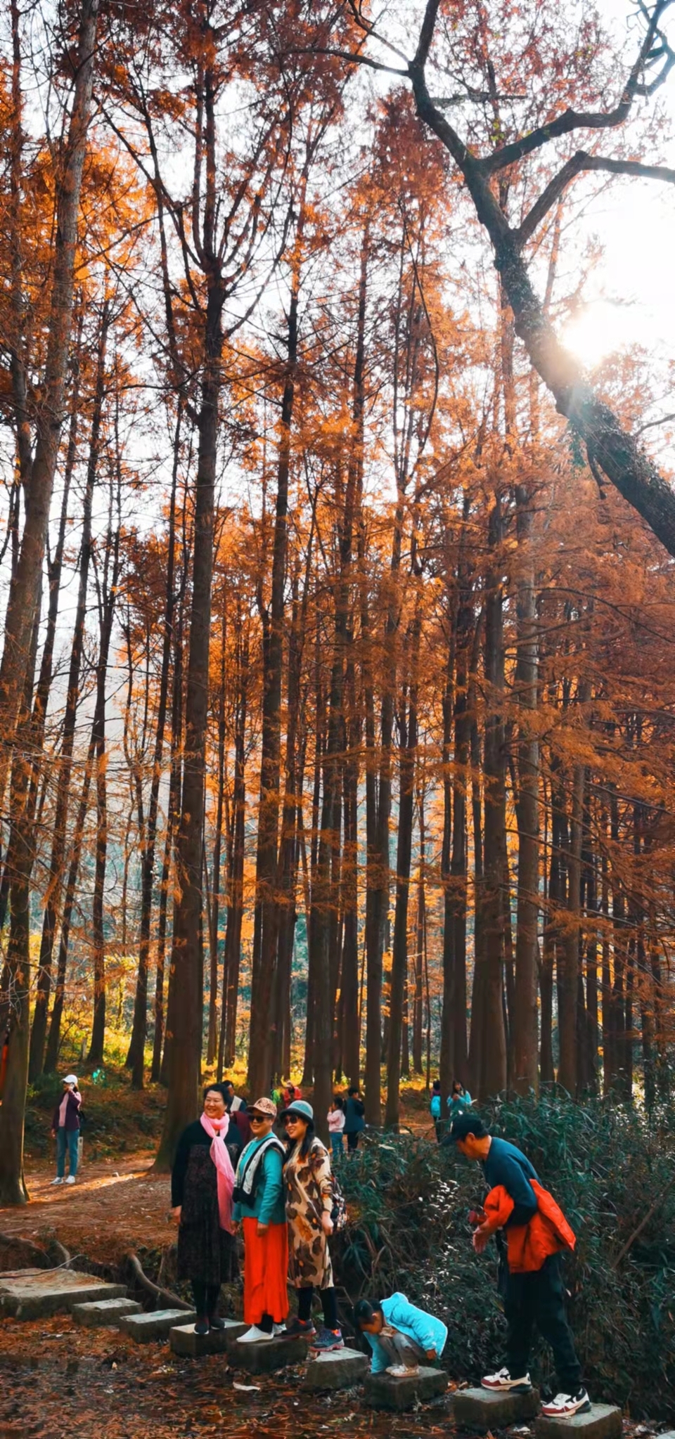 4mdEfgw8PykaYCQ7r2avMjkj4ZtsLORHQX_y0mZyyGAZMOrgdxmr_5zb-7hCzV-g