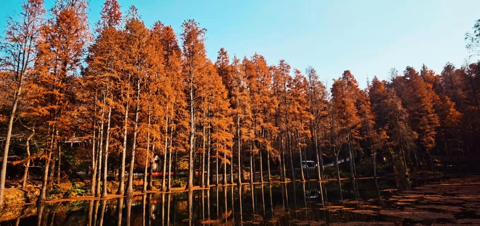 4mdEfgw8PykaYCQ7r2avMqT0nMe4EM5GPmOewEGhrnEQNKkFBaSzXXf3XD-NRkKE