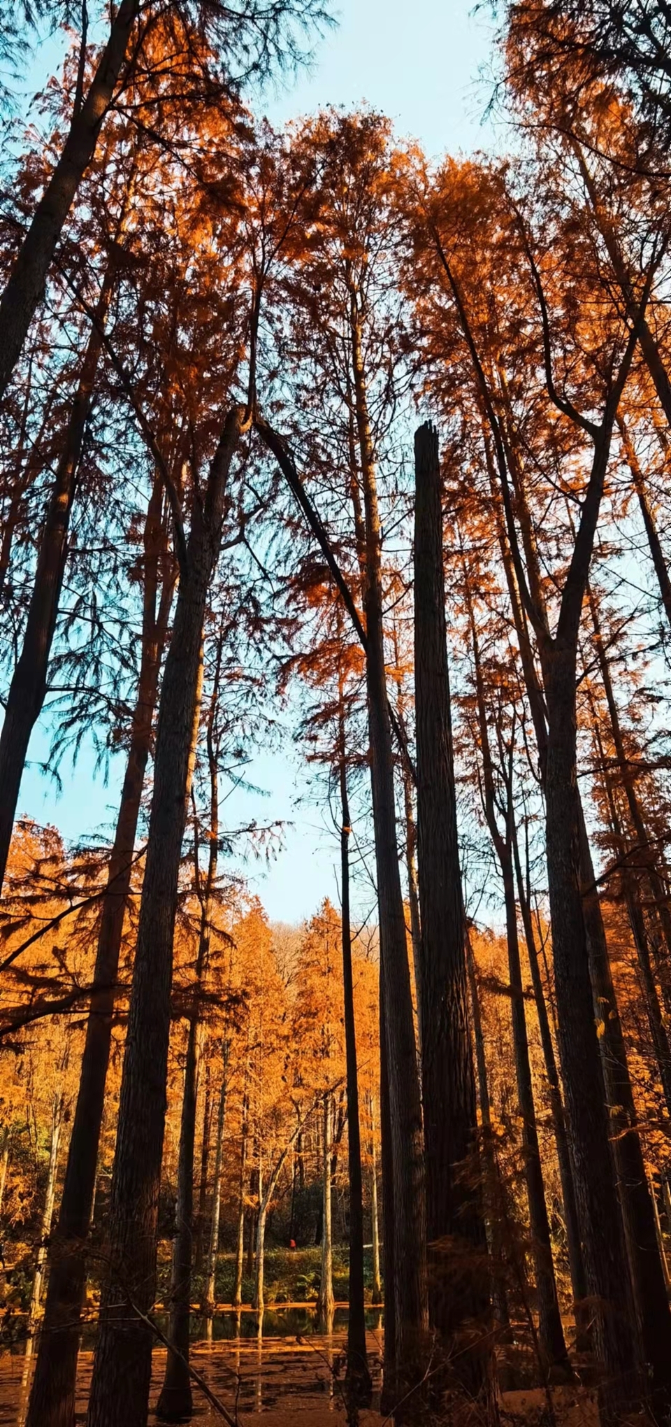 4mdEfgw8PykaYCQ7r2avMk5a-LADscd7hIdjsih1LVQsMkkJx3wwNCQJQ6G7SjfK