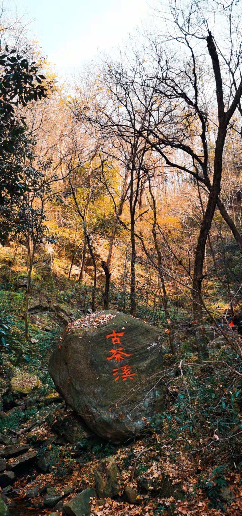 4mdEfgw8PykaYCQ7r2avMpG7YLcNyiiVZAliYbNY8qVSmItAhsZqJbPFWptekeCF