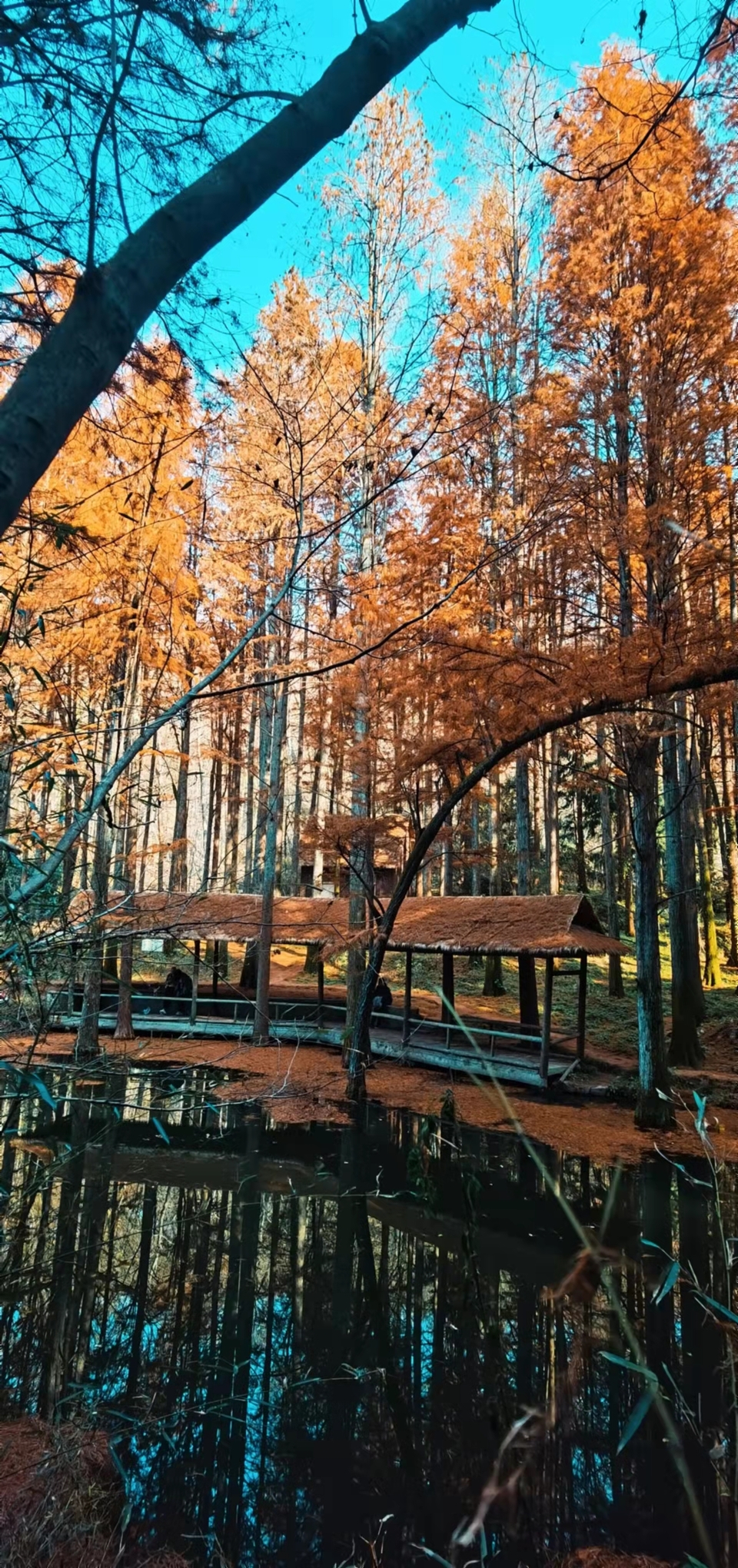 4mdEfgw8PykaYCQ7r2avMoyQO13MOnmuU57U-7mBNSu8bSqj1lbewYlrQFoWzCsf