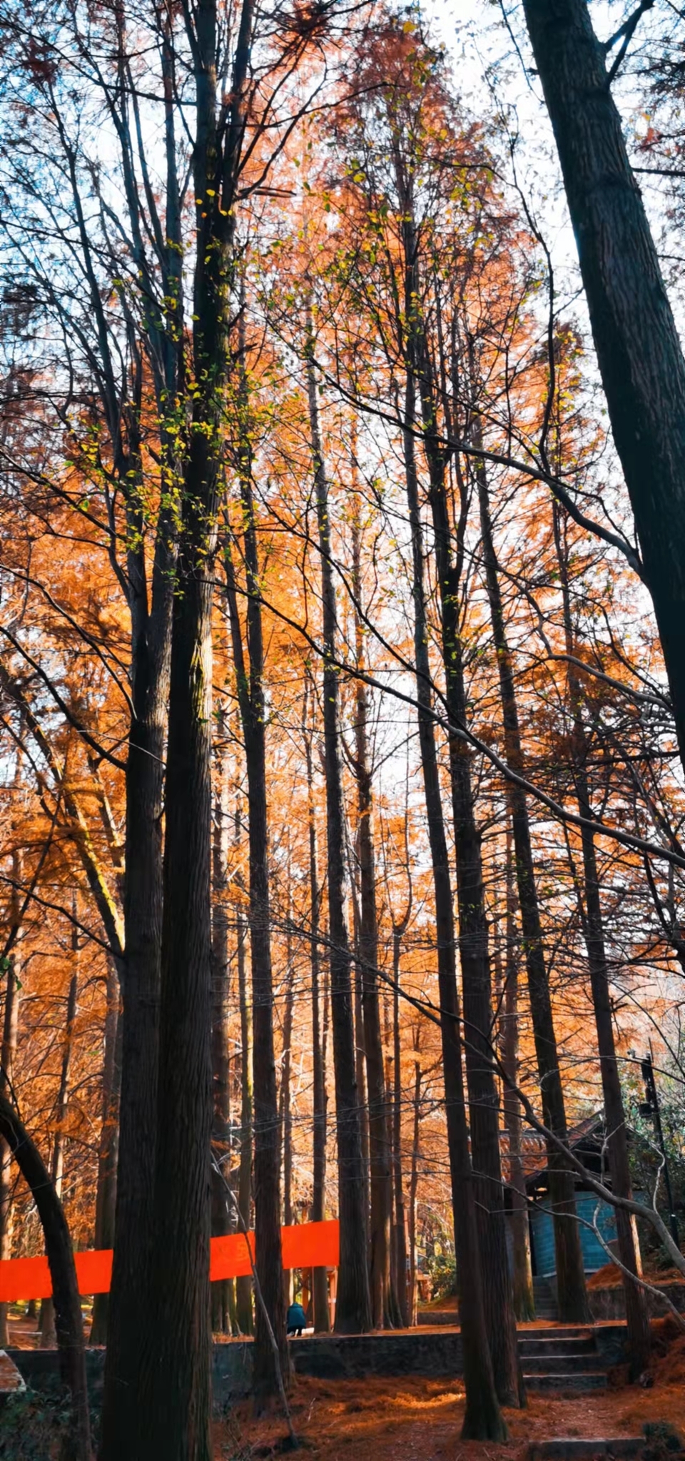 4mdEfgw8PykaYCQ7r2avMk5QhaIwVZA45qqgmzIpIxIZqKyAeZ9YCRJllsUqy0Va