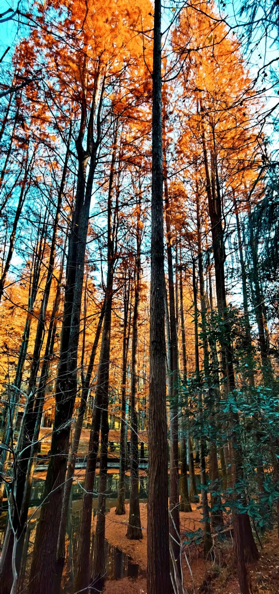 4mdEfgw8PykaYCQ7r2avMgroA5u9k1Wab7If5pKYQ_PzftlgRv7IEmRB__Zb_ttd