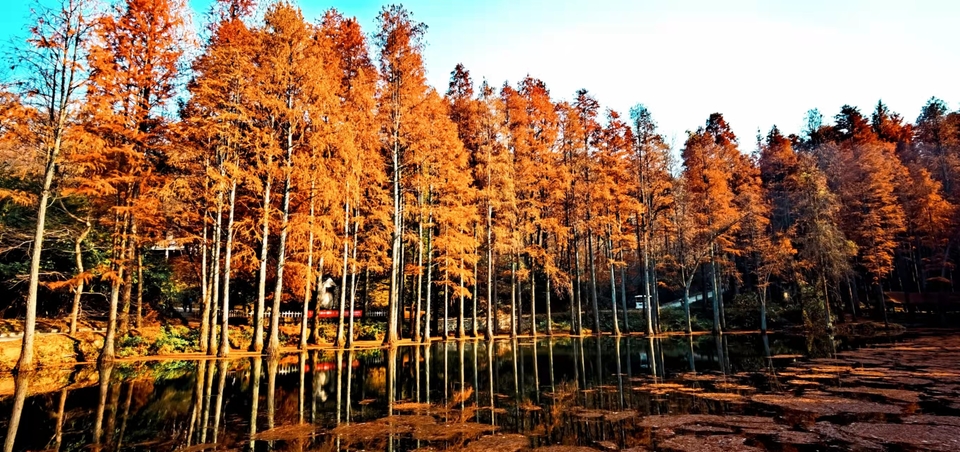 4mdEfgw8PykaYCQ7r2avMke4hF-yDRHag6B80kq2uHNYtStkjuEyFx7h_D_xCQCi