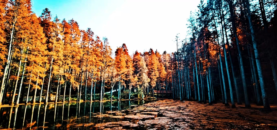 4mdEfgw8PykaYCQ7r2avMg4efk9oRq2rE4irR1HiwiUQFPREVSrXmcusK0UNF5rG