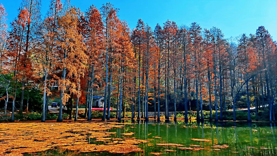 4XlsWJVcng6KusfVTd5LyavHfBUk7_AfaXI66dvM6wWW8fg9OdVNQZ0TcPqxwOce