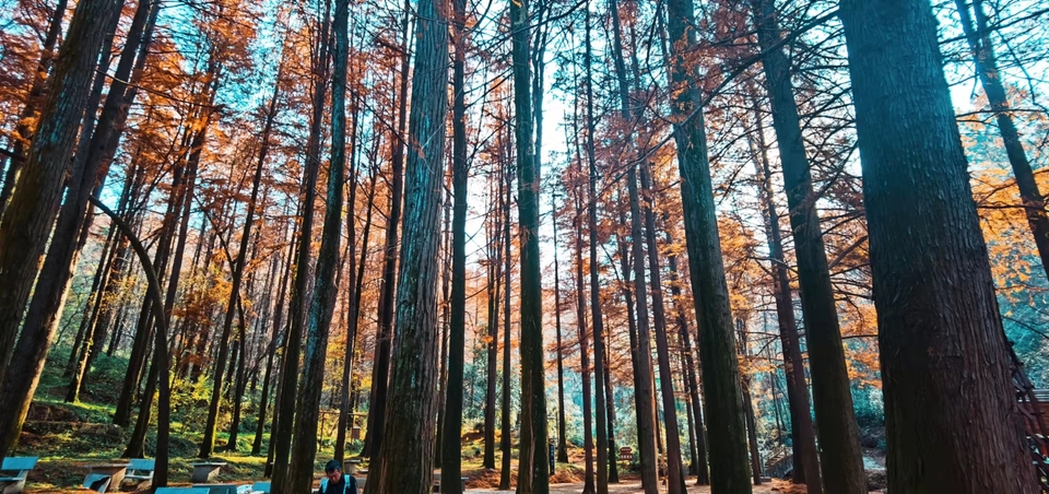 4XlsWJVcng6KusfVTd5LyS1yLHAa1R5pUtDOf63he-gJy_6S7w10rciXbm-rqUjV