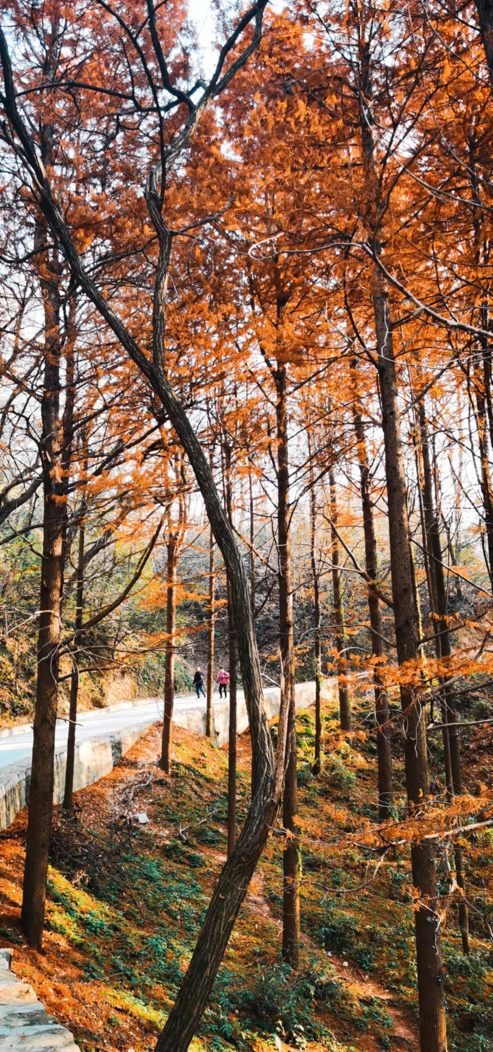 4XlsWJVcng6KusfVTd5LyW_FMgLBvPPCRVKH4iUBdj5U2_x6tkmHBS8OFQeqezzh