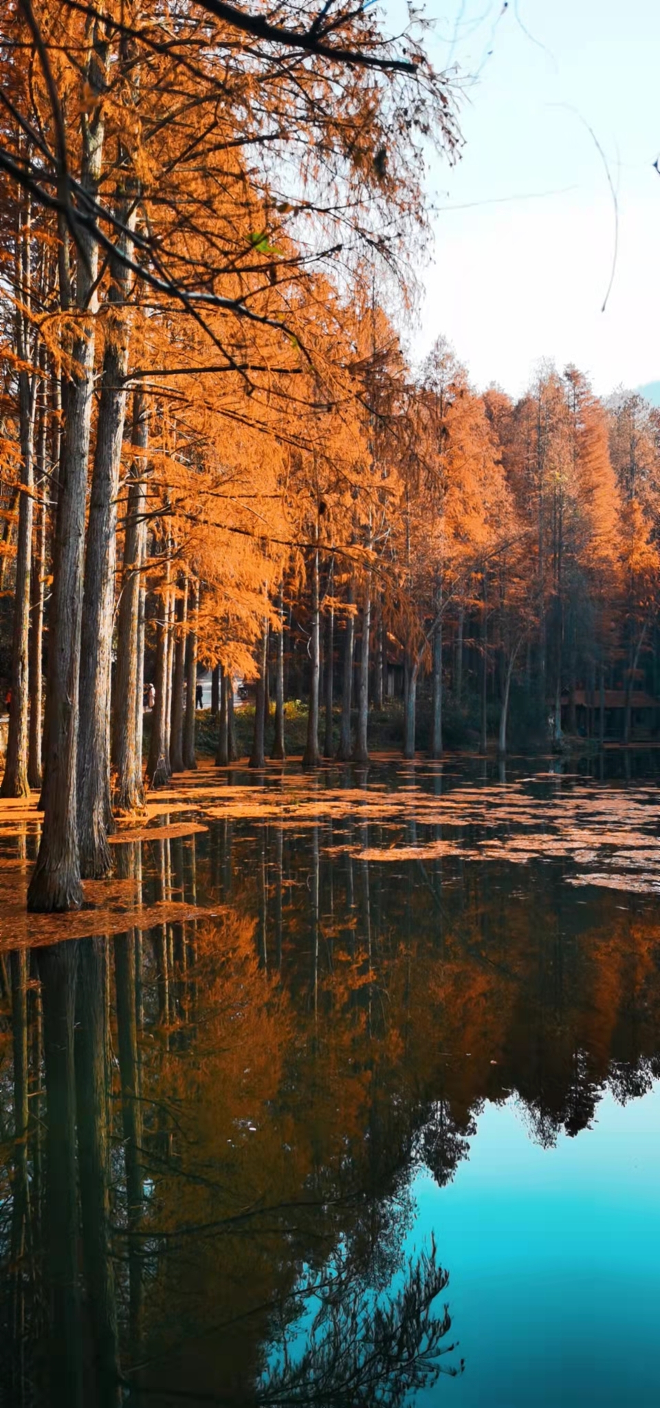 4XlsWJVcng6KusfVTd5LybIL-H5dH3ADdNLWXWDrQJ782lKHJGLD2c1pmAW0XoXR