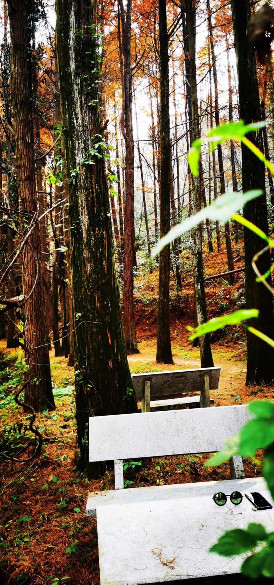 4XlsWJVcng6KusfVTd5LyennosHgNJy0_b_QQLSdKsHwrFvv89PQzHO2KX_h79MM