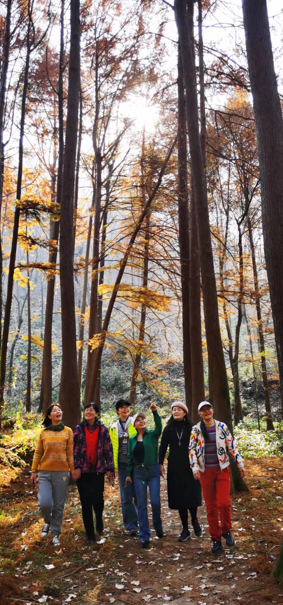 4XlsWJVcng6KusfVTd5LyaWB0I9R7cmXR7_JjWZDkFeWVl7azVBHX2Mm_4B_4dEQ