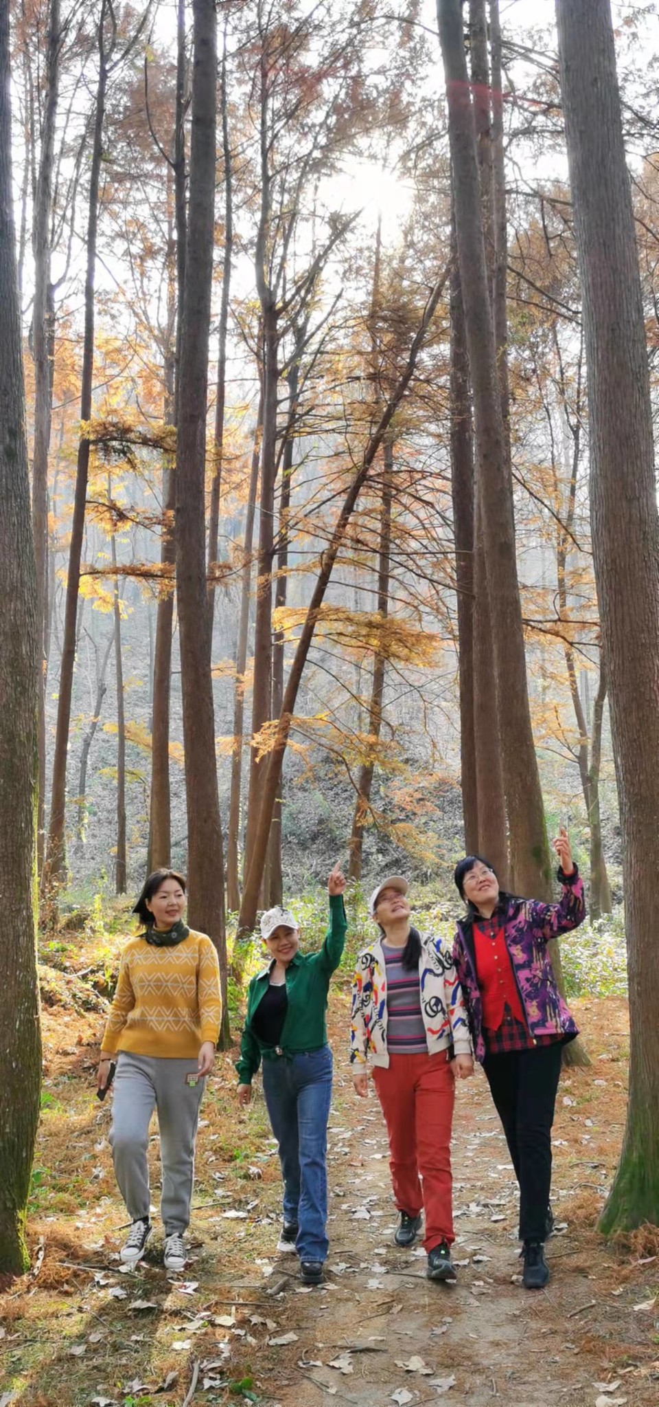 4XlsWJVcng6KusfVTd5LyV7nrTPx1bHEcQIsgyzC2WsXMK8d3YDSzyrmEbPPNgyl