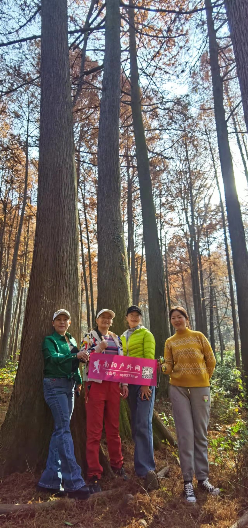 4XlsWJVcng6KusfVTd5LybRGr2nDvZGDQNeLj1JRik7Fvp1WkwiztcT_mrYVl6w4