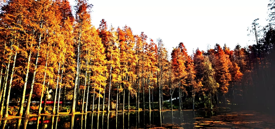 4XlsWJVcng6KusfVTd5LyU7ek-zkueUwC-Ok9eT4GwZK4P5nODG4ouKeh8X4vkzL