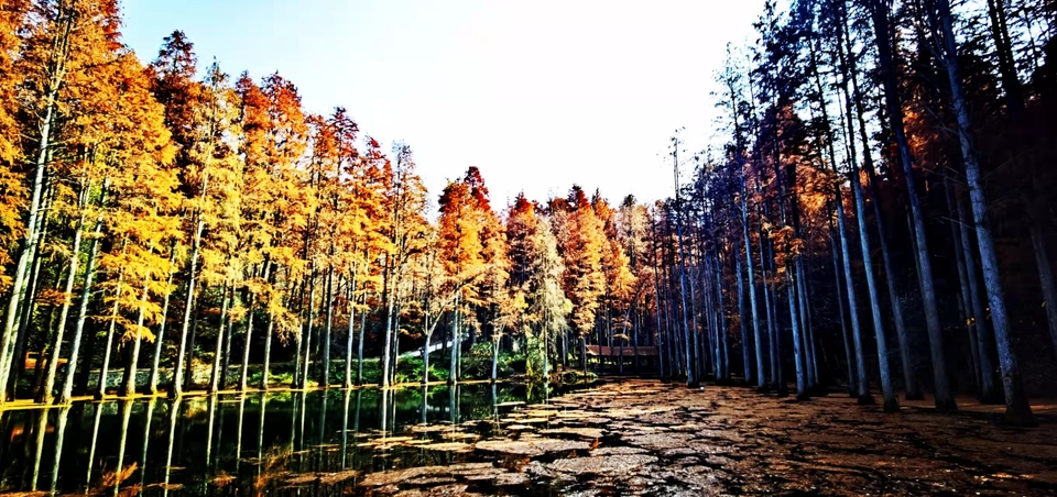 4XlsWJVcng6KusfVTd5LyTDIZWg7lTjoujgg_ggjrgKugQD7rEXbKAUBTuY3xYy_