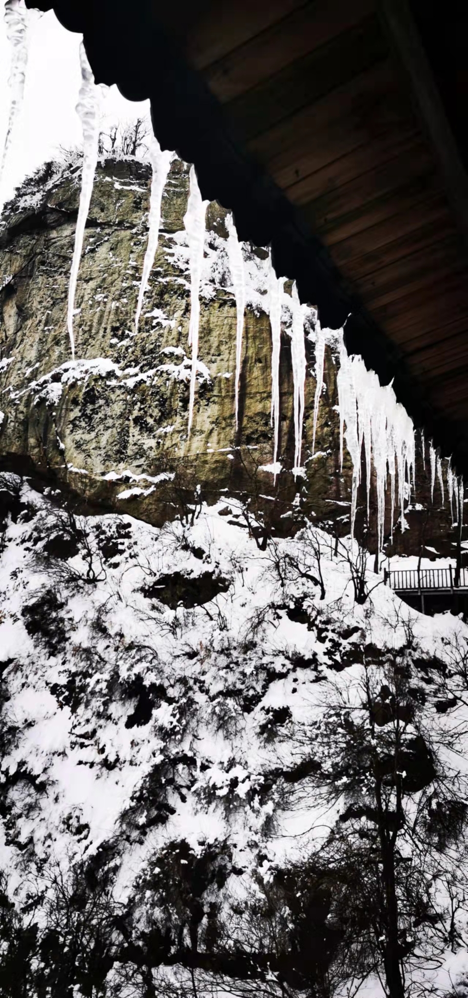 ap23qwn8b0Tku7cb_Gi8ClhHXMs-zLAOYdXCodqVTuWGU6D4cXlxdFd1dl9_dXvJ