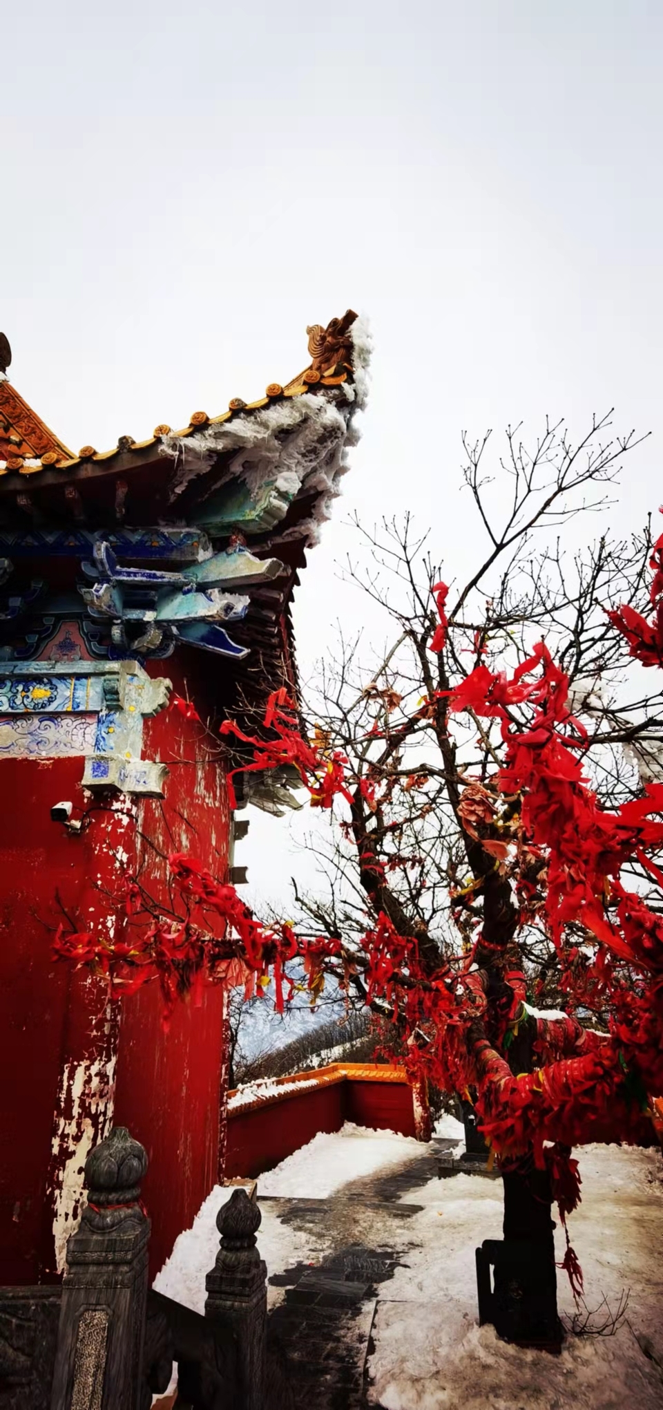 ap23qwn8b0Tku7cb_Gi8ChVHxjLD6p7gt5n_js6L9pGvkOZKZz2ug2W1tKUmxVHT