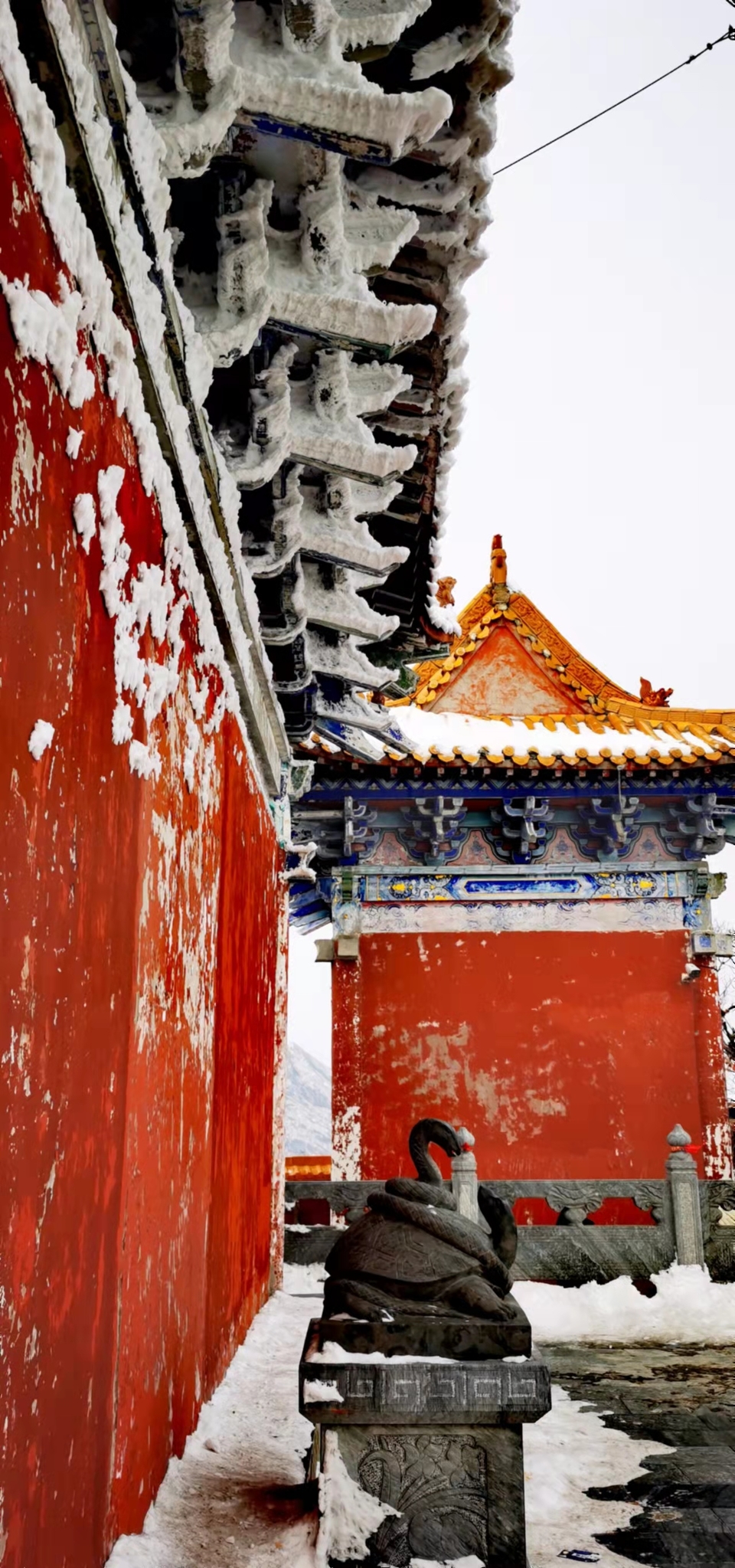 ap23qwn8b0Tku7cb_Gi8Ctn5vZK4PXhW4RwWmjKCoQKokf9SXiOEjUpCES0jkL4z