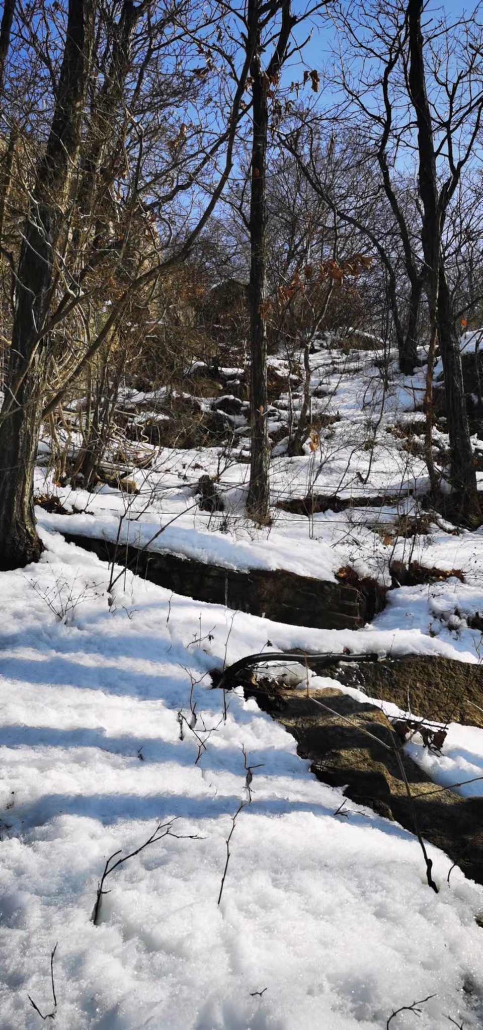 sQ1T2rZT2_PNAtWLPe-1ZhgsW4SMh5wUwz2nx64eXwjLXAWYhXfGwkVZ0RInC196