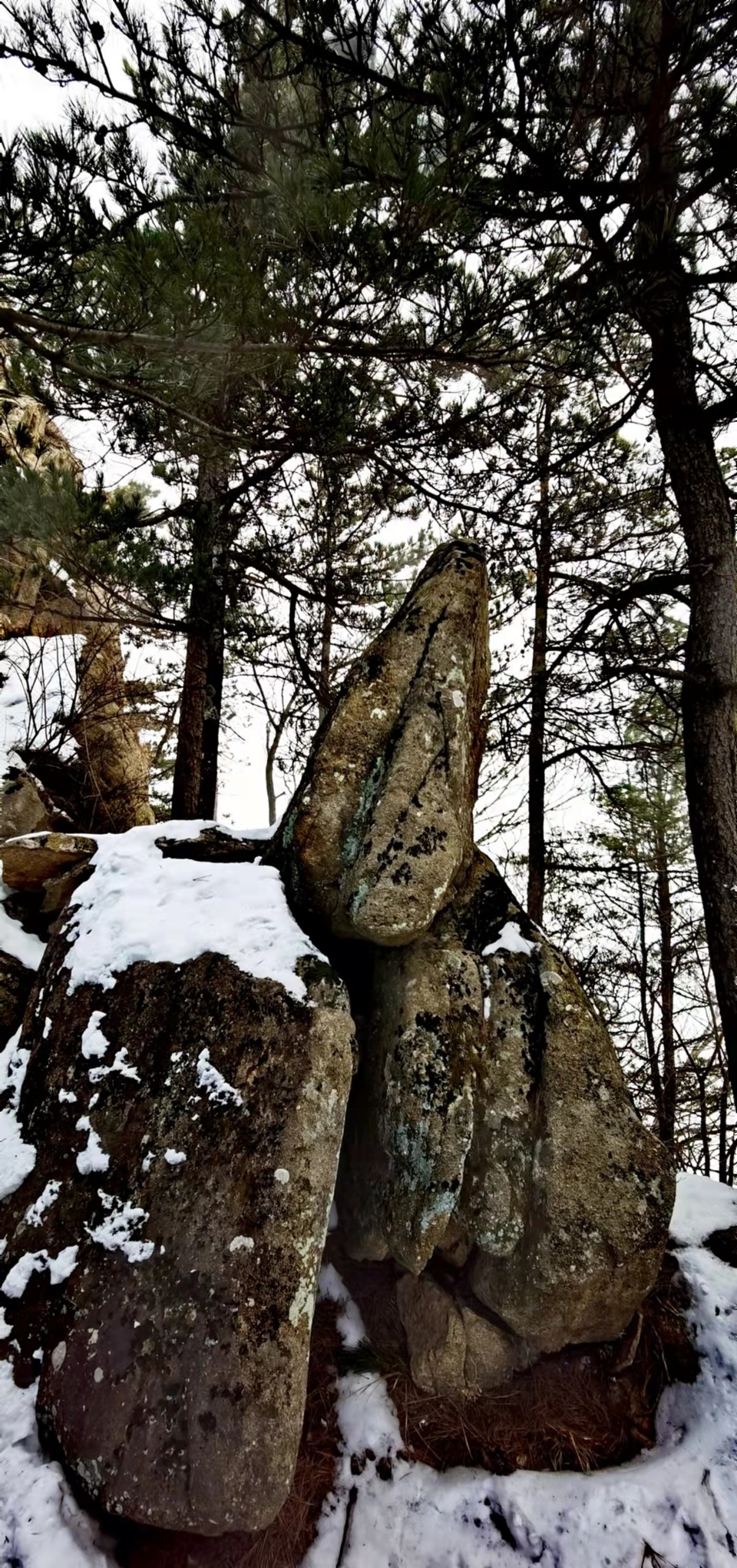 CHu666aut6gl0LBGmCSFFzNghHmj8ENG6hagQD4vkcfS9YGCX0ZHdePM4Ji2rC1G