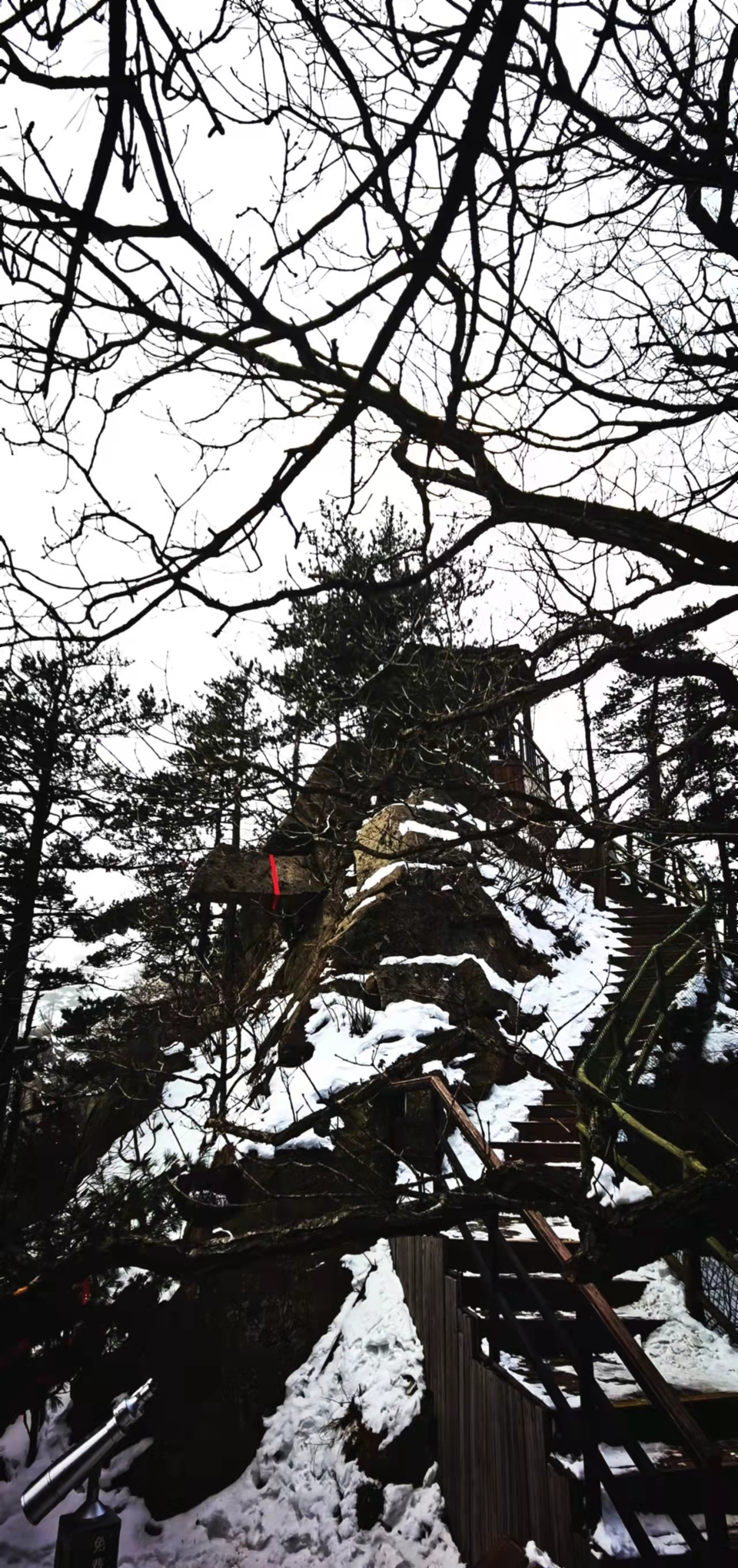 CHu666aut6gl0LBGmCSFFyfaiFL3KEBRD920S7tcT3_KmgLznqMgPTUz4d8q_r_G