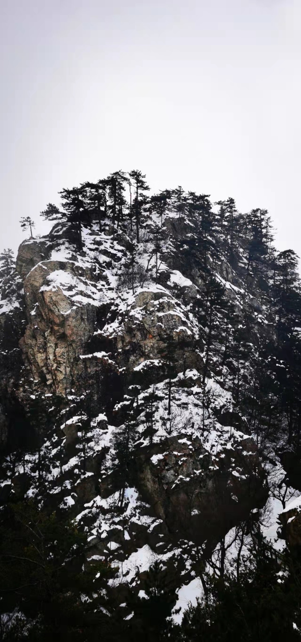 CHu666aut6gl0LBGmCSFF-heHai6-QdAluohbURuH4kTkQsqfOQfKMW1fOc-9Il0