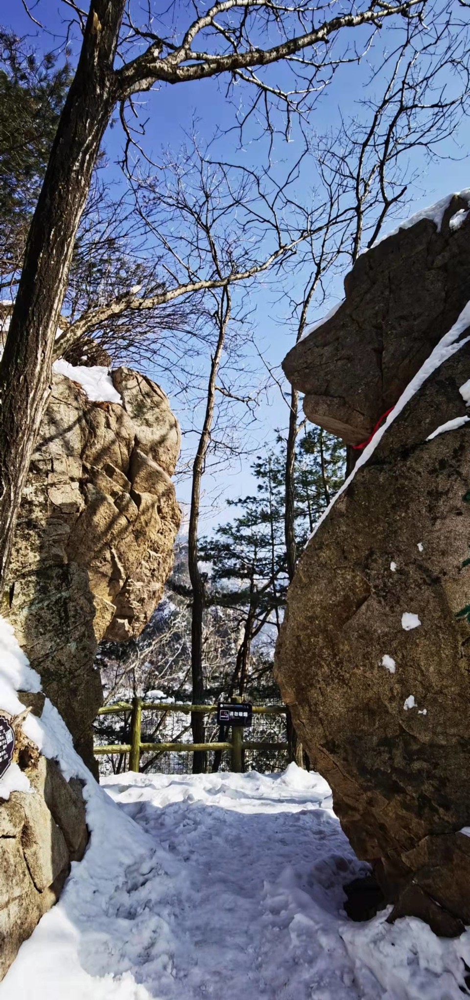 CHu666aut6gl0LBGmCSFFyKJQAmxm1a2JH5I0Ojvh2Y5ZOc7YD_t4Ns7jJTdSR_B