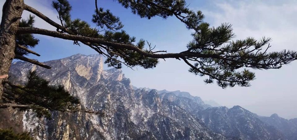 CHu666aut6gl0LBGmCSFF9Kc70qLAFkFZvPJ6RWxtvQBXd9IUiTY32k8cdzy-Zuc