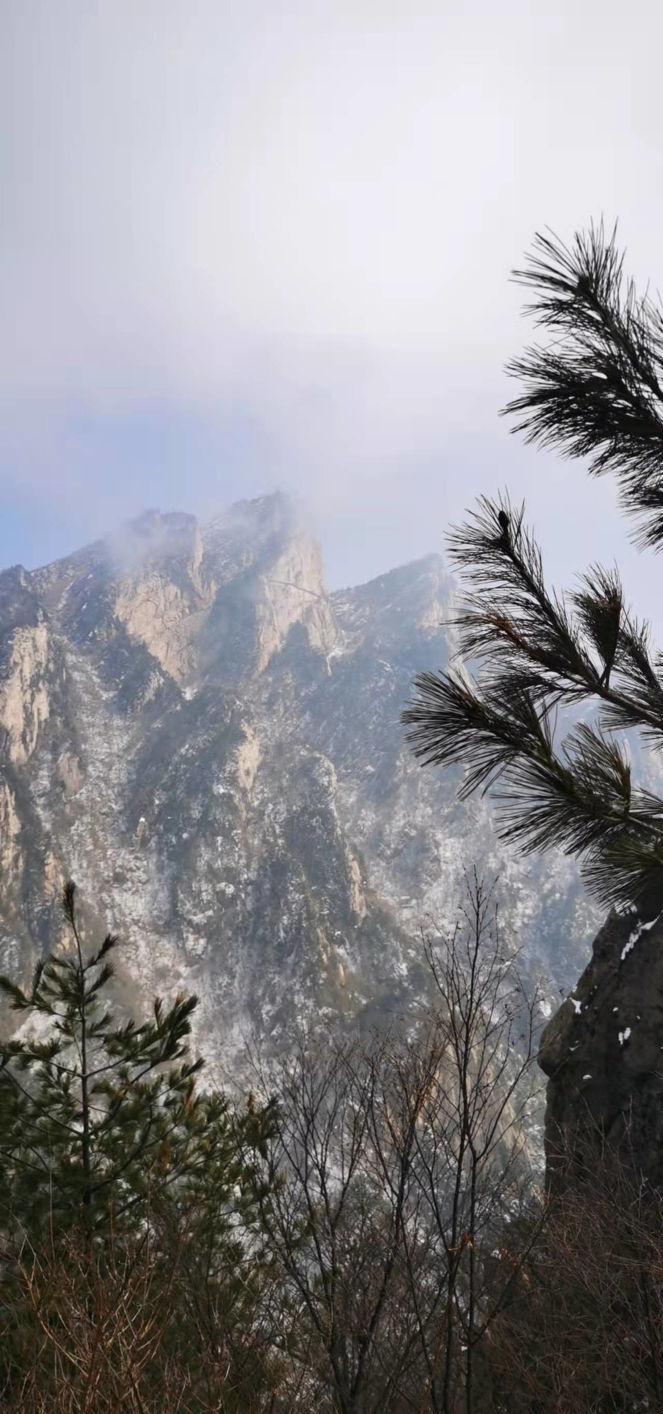 CHu666aut6gl0LBGmCSFF8koQHtYg3ZhIfQhg6HuPWQ6rgcvL35eLXEEHpQHf3n3