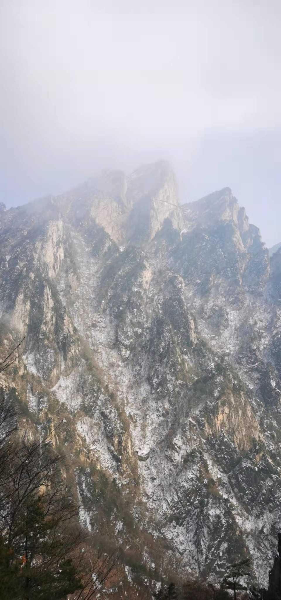 CHu666aut6gl0LBGmCSFFzj5LPWNRgngzoNSKh6amREzJG1HlJbXLslemAq9Z8IX