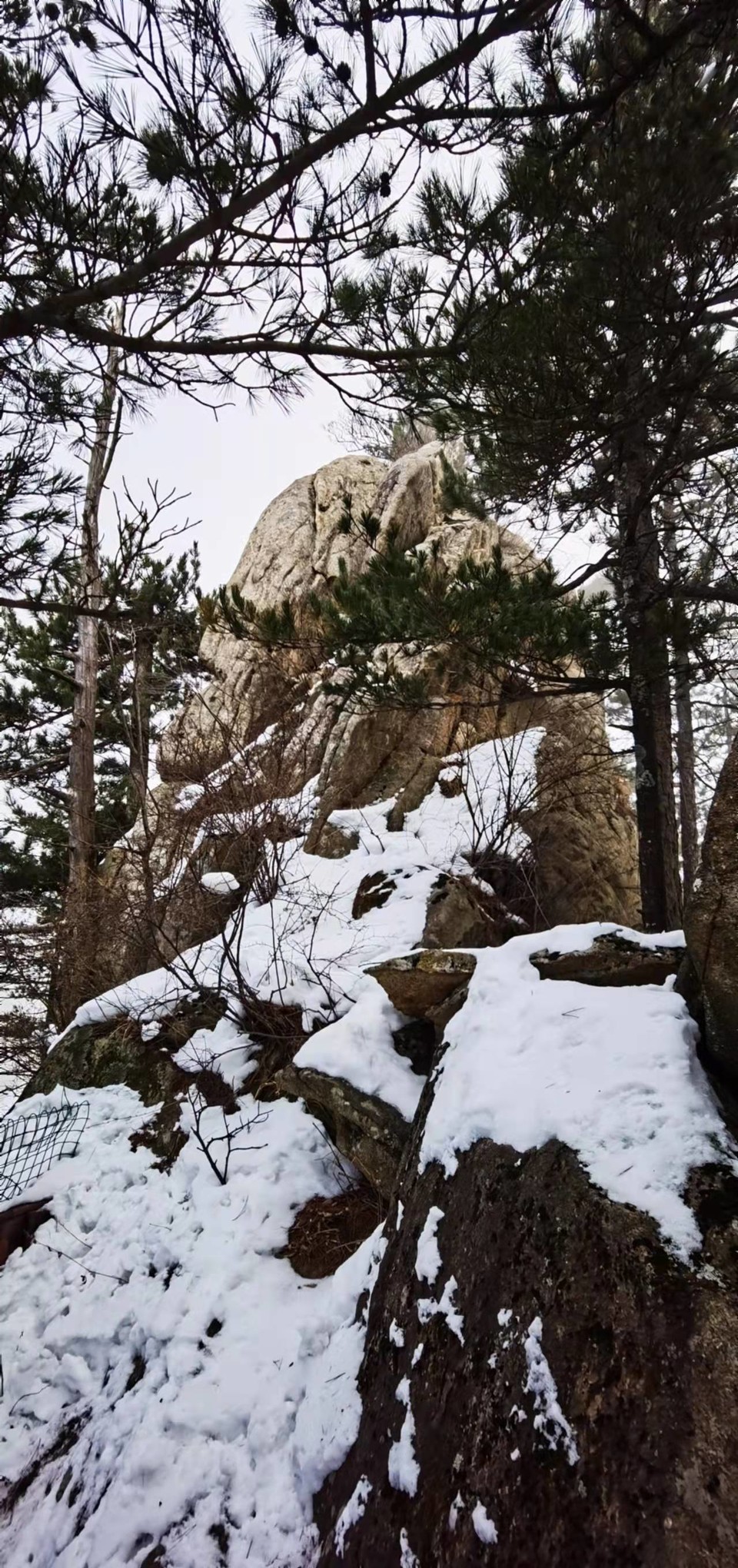 CHu666aut6gl0LBGmCSFF_7CxfzOixdkURjAlv1W03AqS3qWj5Nc1HXz5FSXhtH8