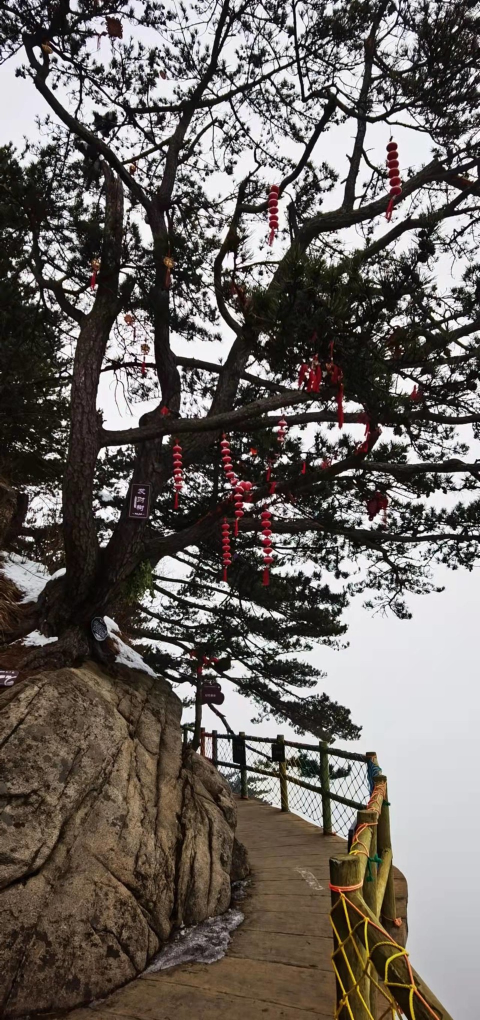 CHu666aut6gl0LBGmCSFF056lZ689ctRu_wKpeu76DwRgLZFWFcJjN5Zm6XT9U93