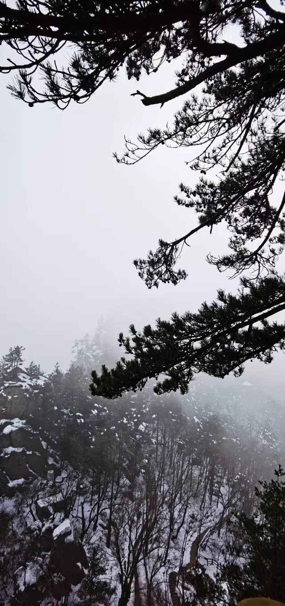 CHu666aut6gl0LBGmCSFF_Wekcj2LtJ11DPPlDNZY962N9Er8UCDrKvCHFdo-mDu