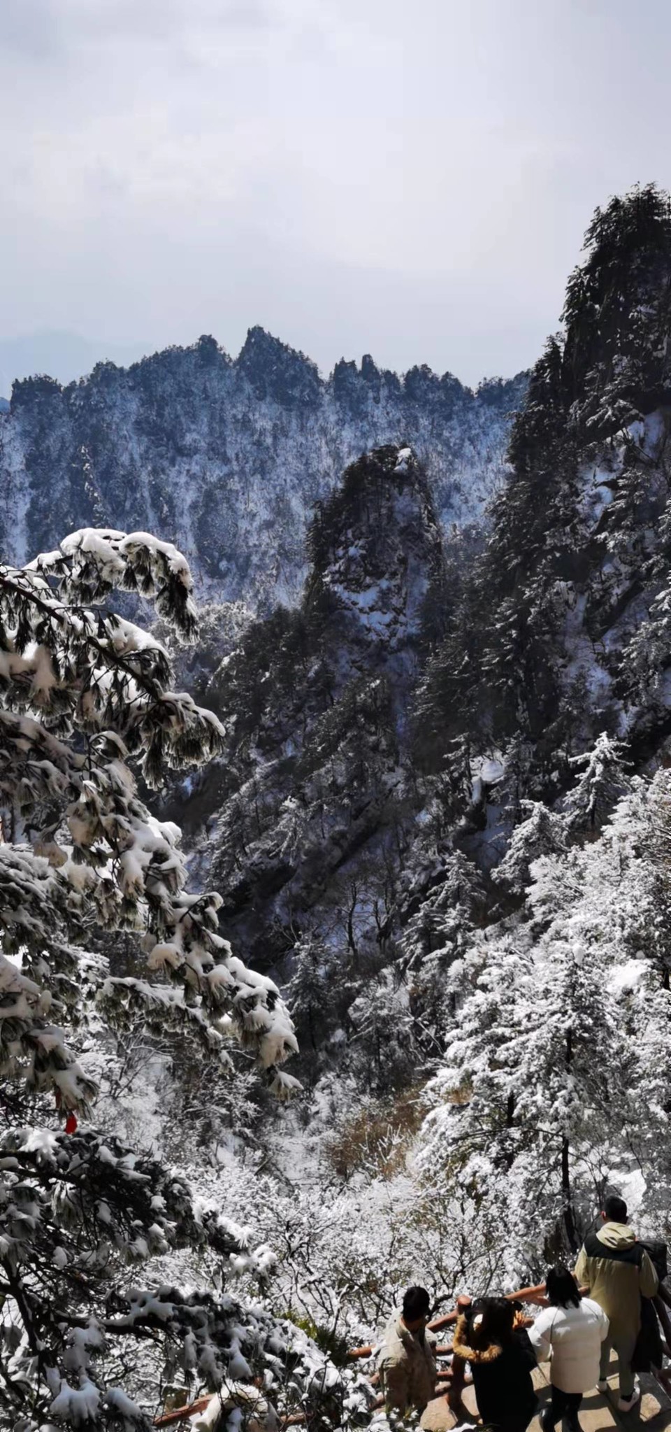 0BJ9aUge6NfHnK9B0yjj262EDdYCmh6woDe6NxOeUfrQL4fQAQQnYR-UmHQu4TNk