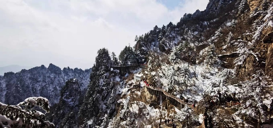 yMRK4S6D_L5ucjiLdUzQZwv1WX1BdA6GVDY6JAYfm6xJmSa8LjIsJIlNfqcp26Wz