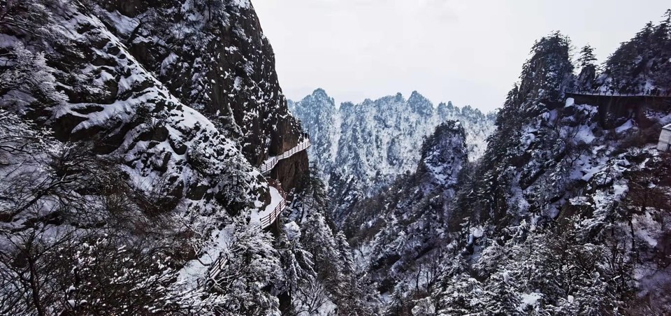 yMRK4S6D_L5ucjiLdUzQZx8QMrN15V8R_q0pcdGQHtD6l1tG7kC0Yk16_Jbv1bAR