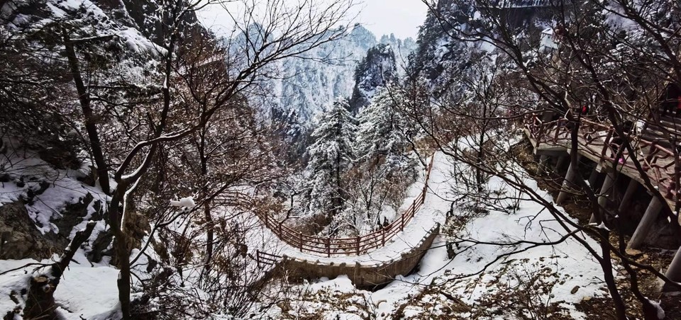 yMRK4S6D_L5ucjiLdUzQZ6Ju8lMYQU6jxoDnILzurp2DuYaacNjbo1CwC4WXNw3o