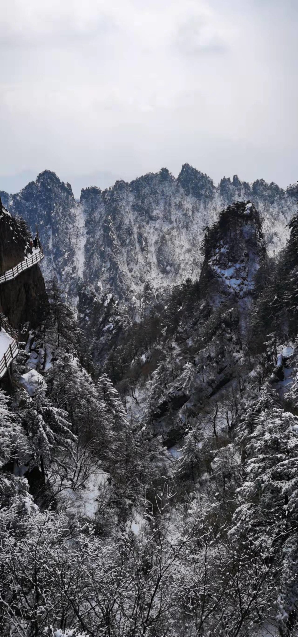 yMRK4S6D_L5ucjiLdUzQZwQaFZNnQ4182CQpHFU3w8pFl6bDKHLEjjgo02jYR1SM